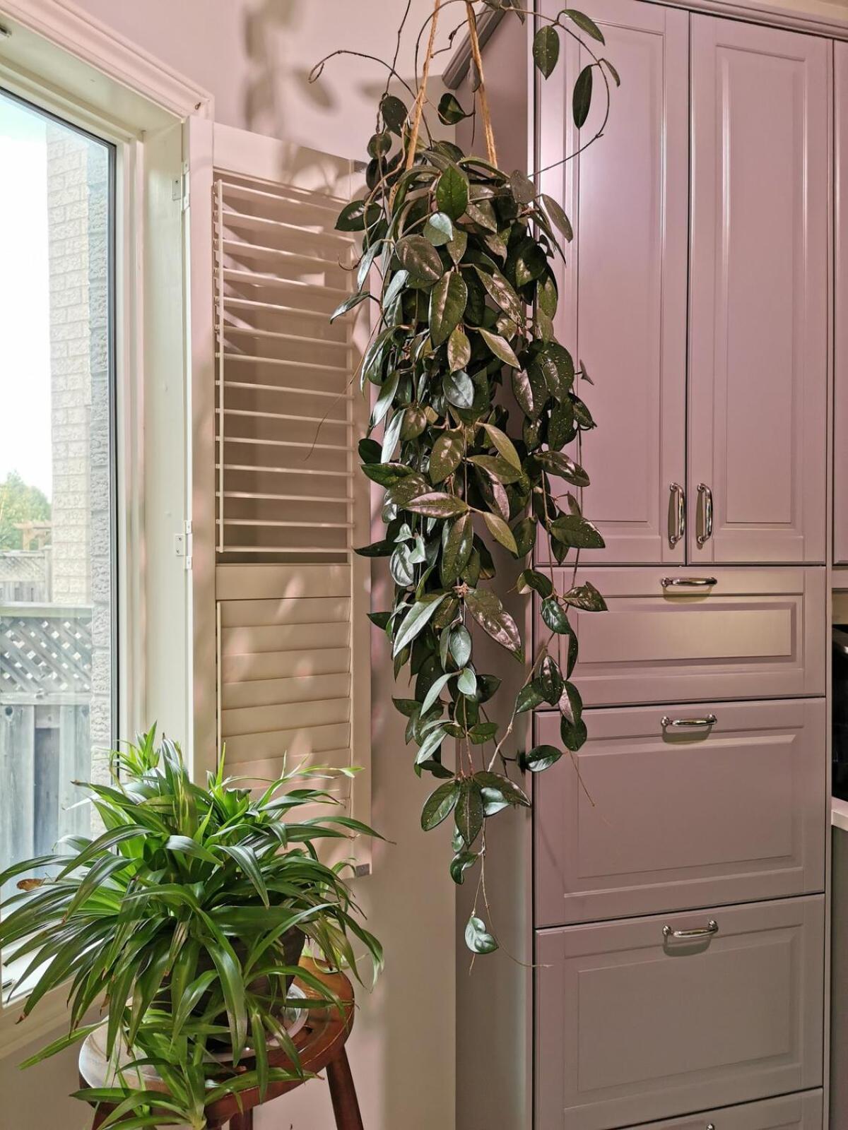 4 Bedroom 3 Washroom Charming Home In Markham With Warm Cozy Vibe Kültér fotó